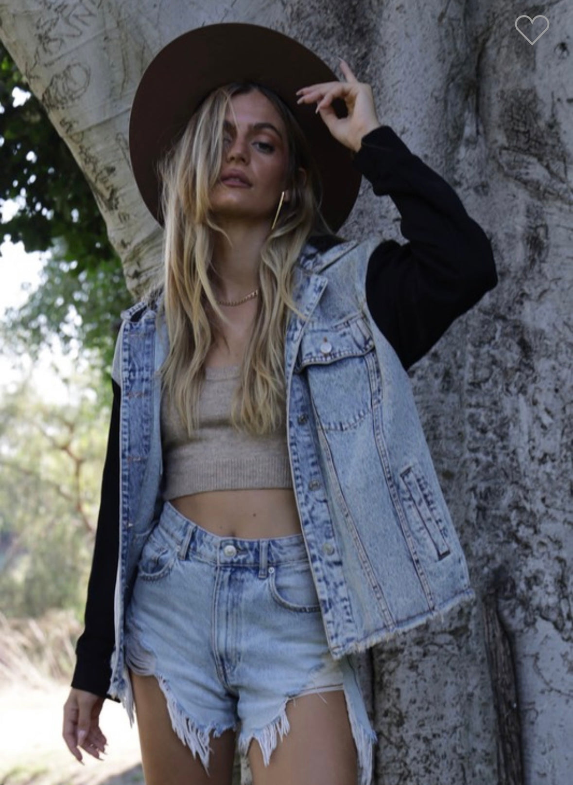 Hudson Denim Jacket