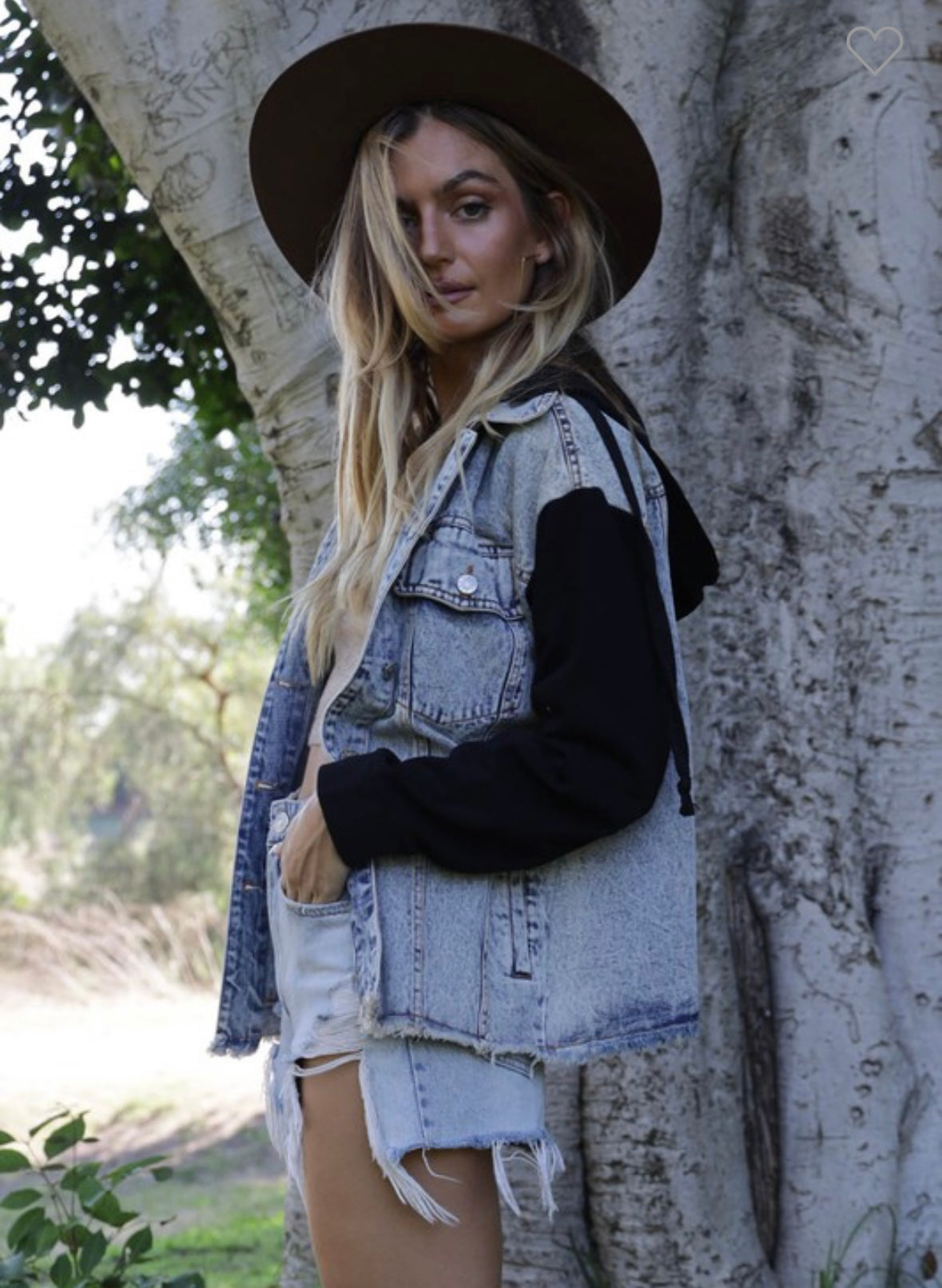 Hudson Denim Jacket